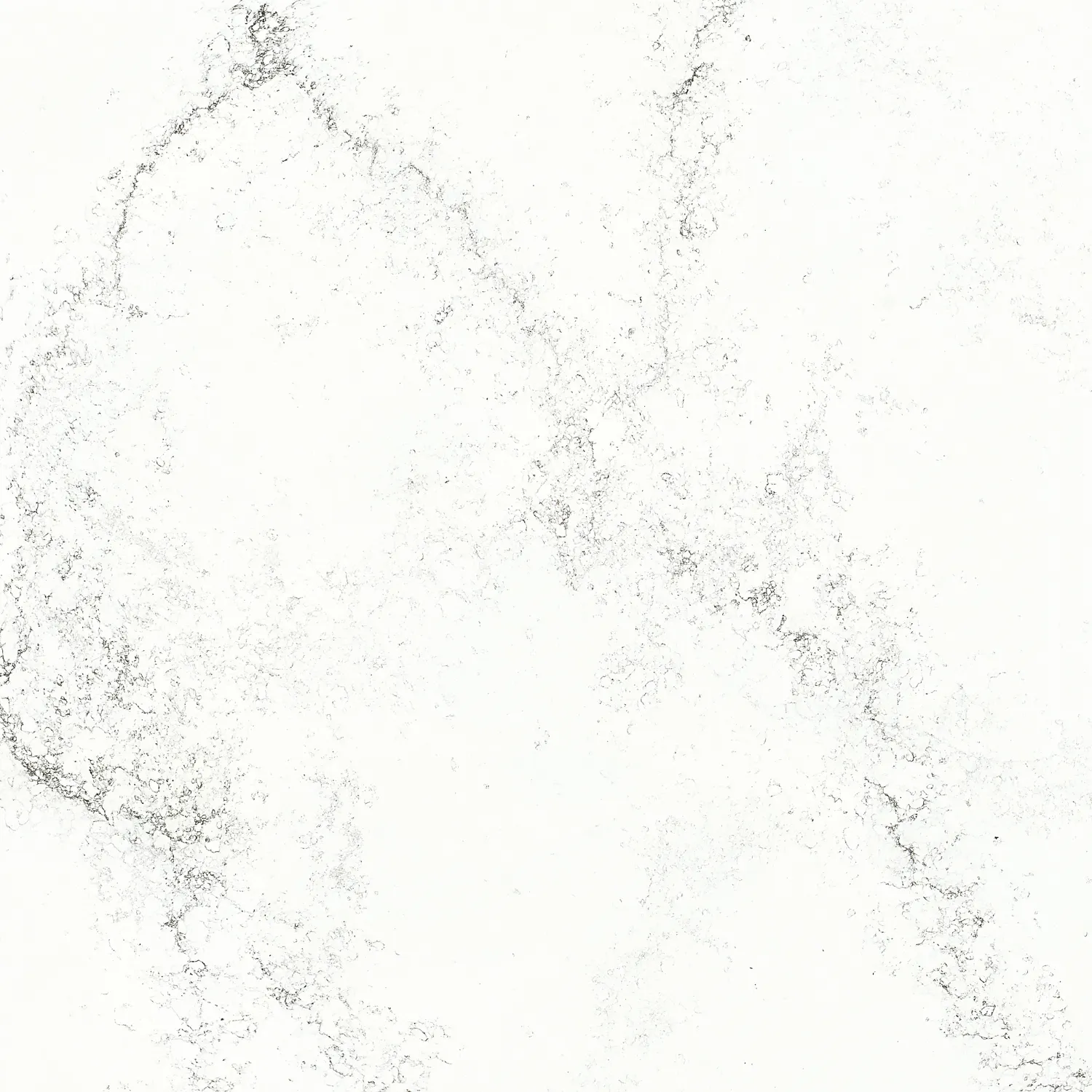 Aurum White