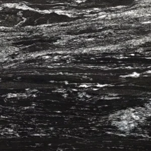 Black Beauty close look