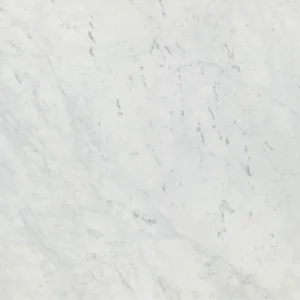 Calacatta close look