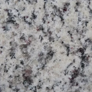 White Napoli close look