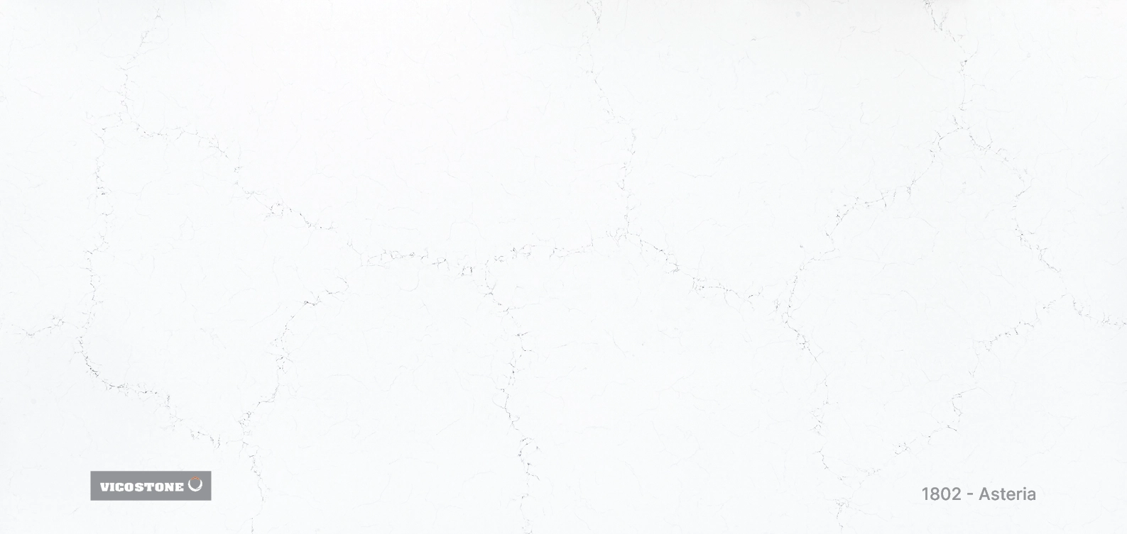 Asteria - Image 5