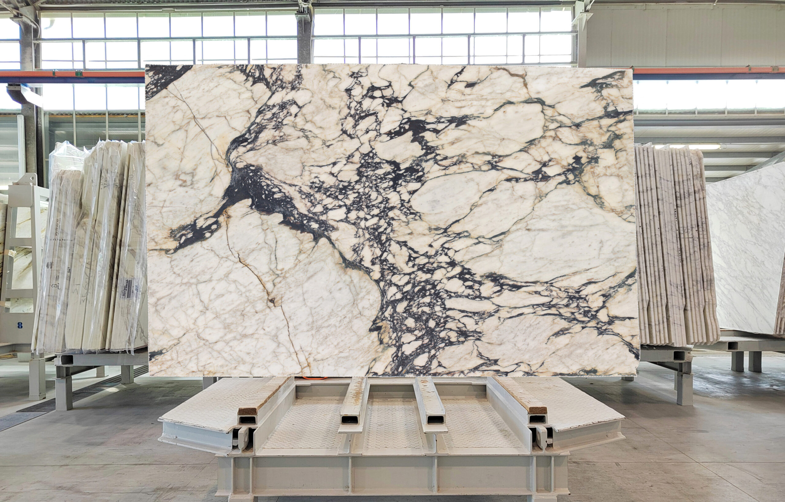 Calacatta Viola Slab