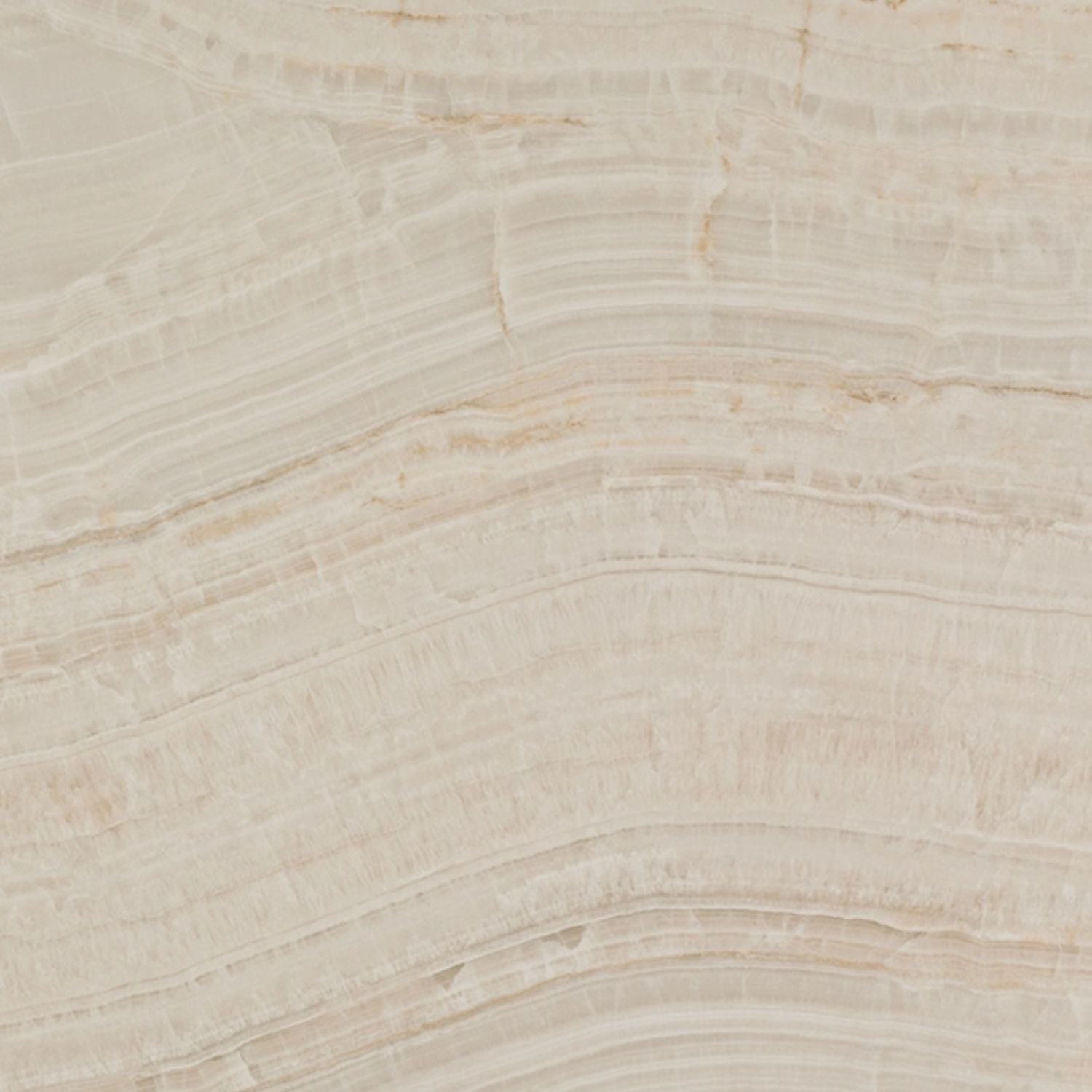 Onyxa Close Up