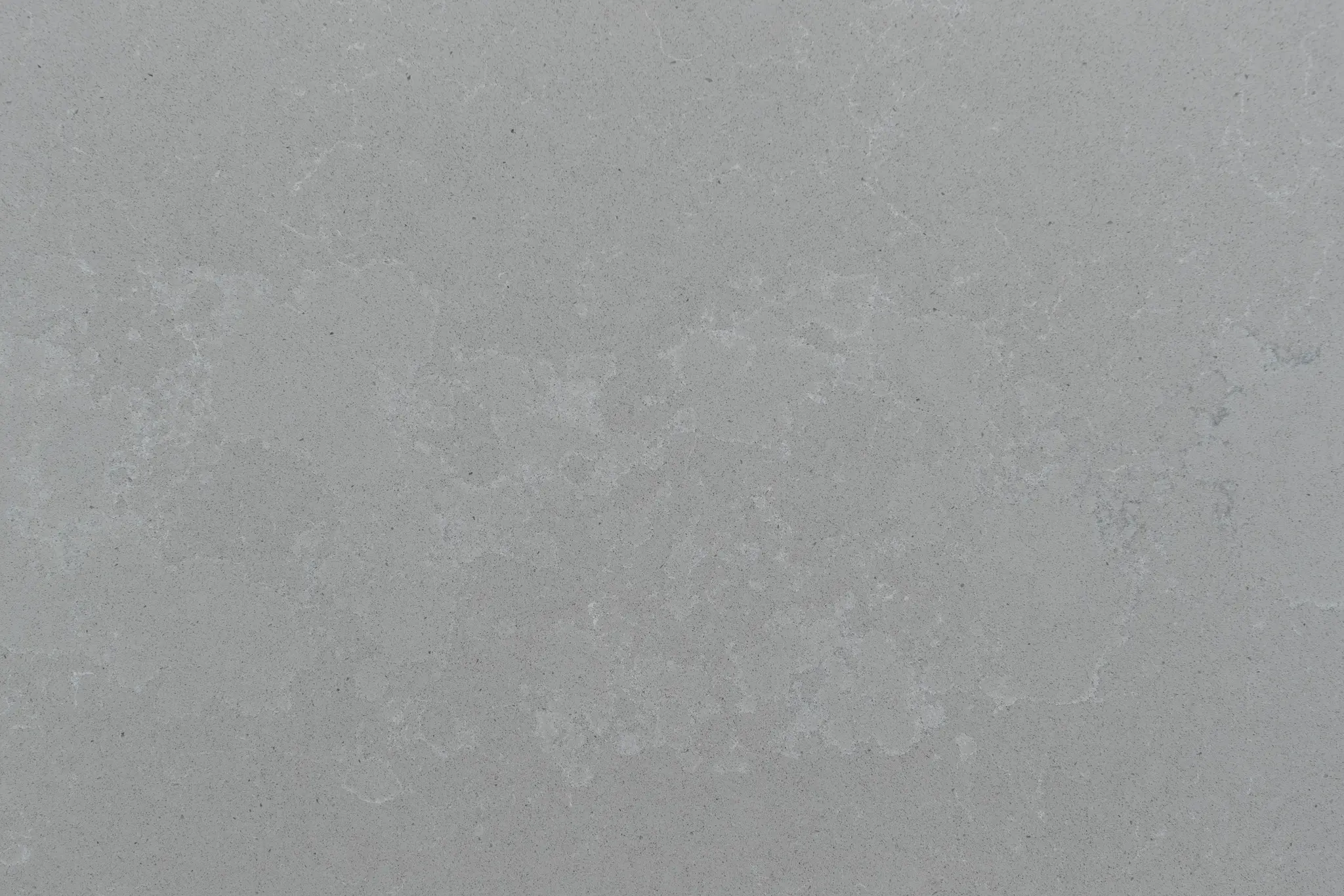 Prinus-Closeup