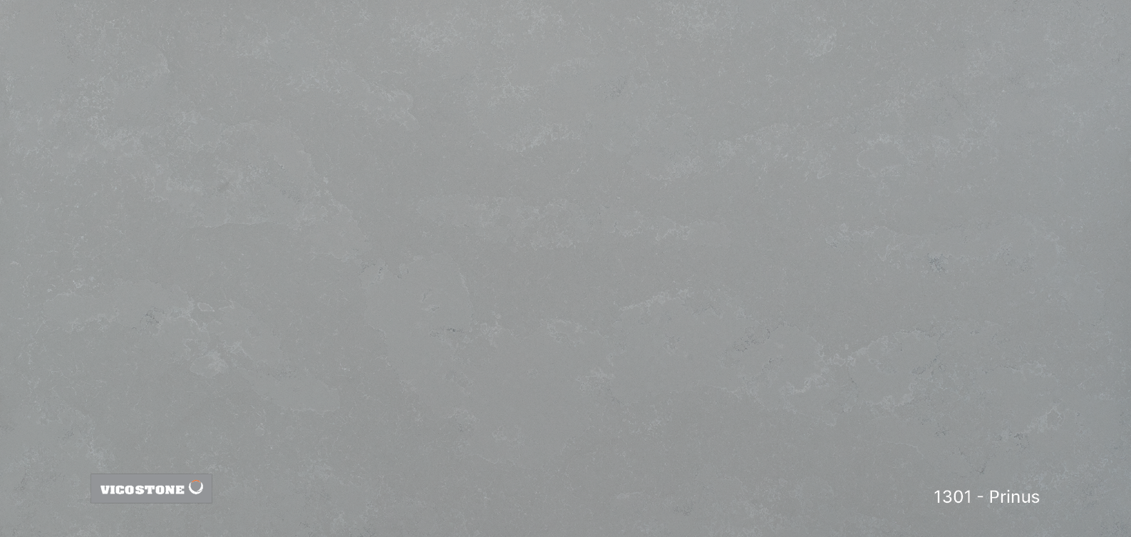 Prinus-Slab-Picture