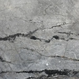 Silver Root Close Lookup