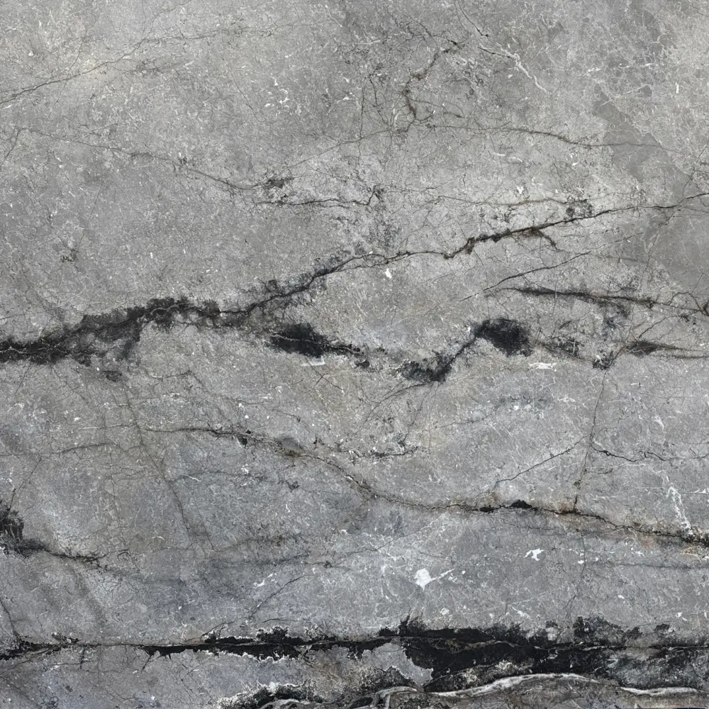 Silver Root Close Lookup