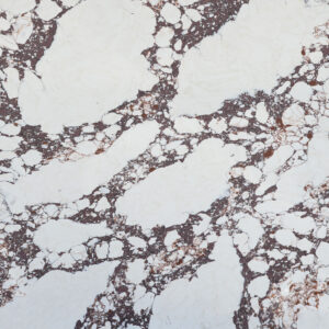 Viola Imperiale Slab Pattern