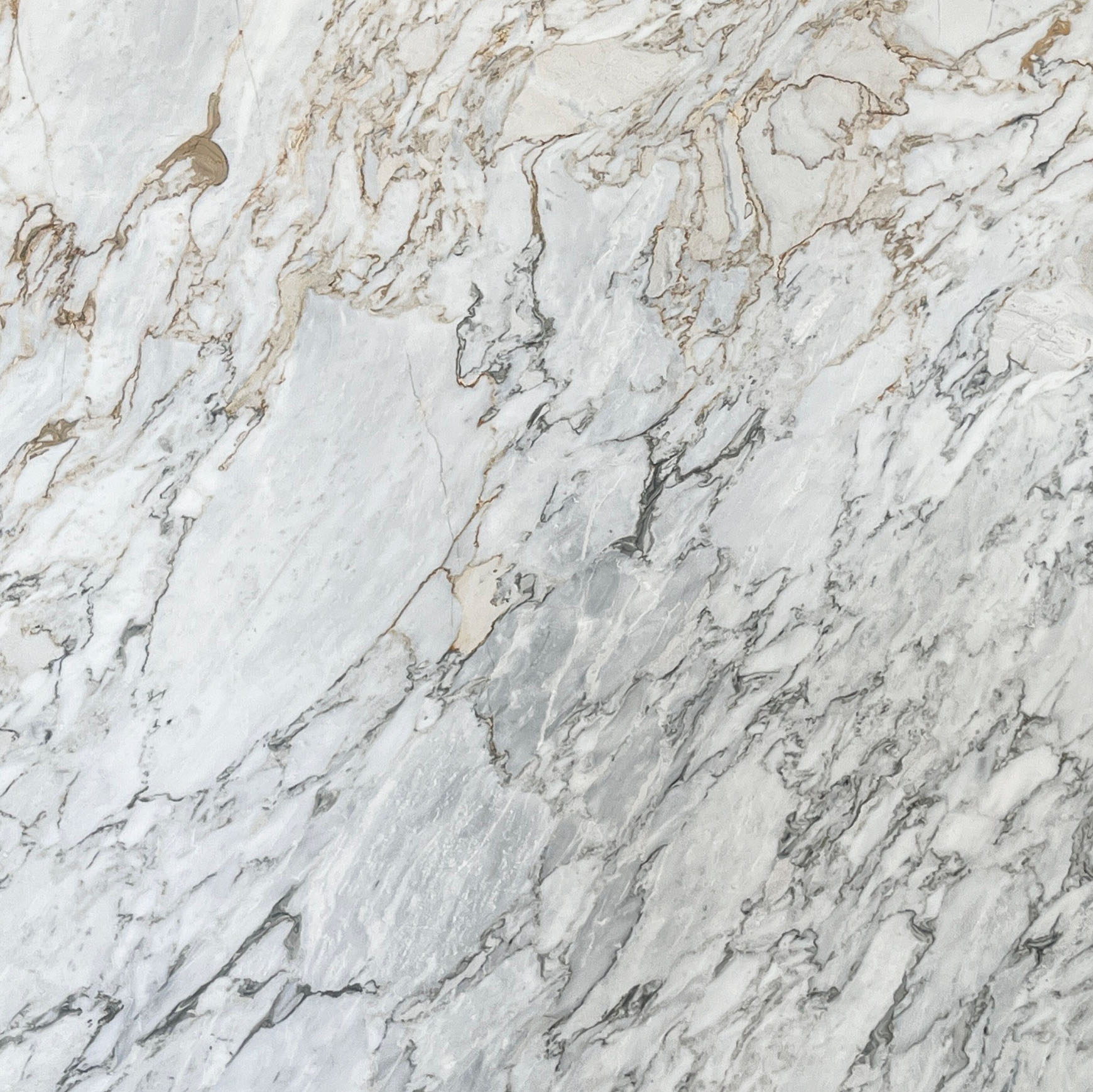 Arabescato Vagli Slab Pattern