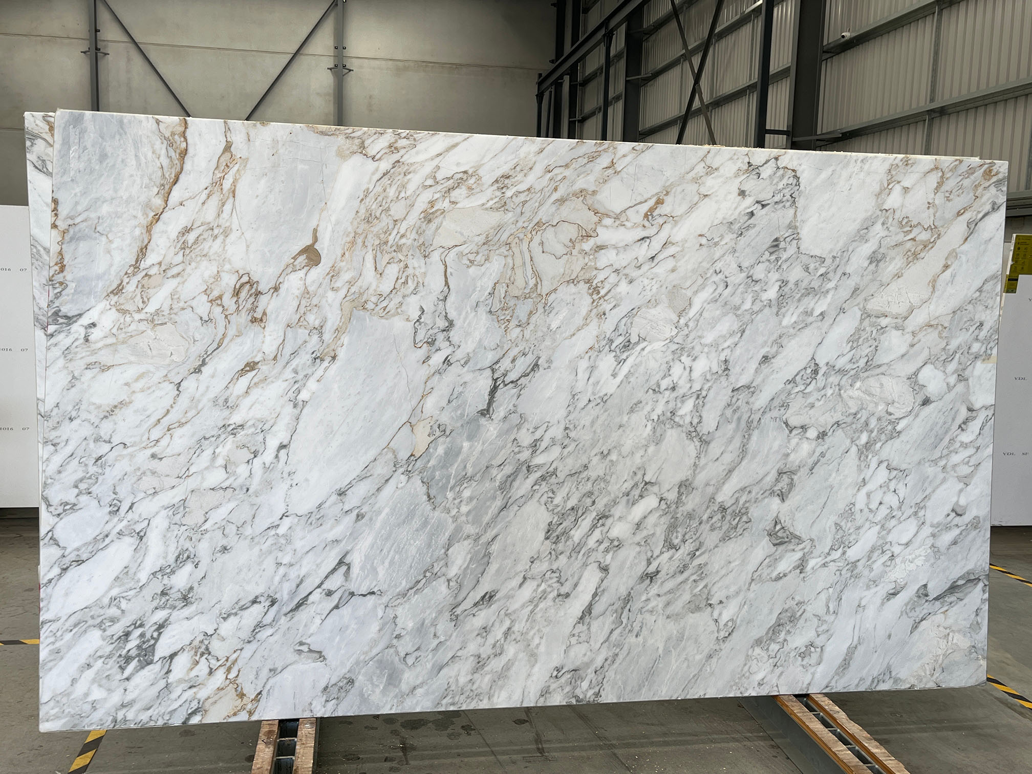 Arabescato Vagli Slab